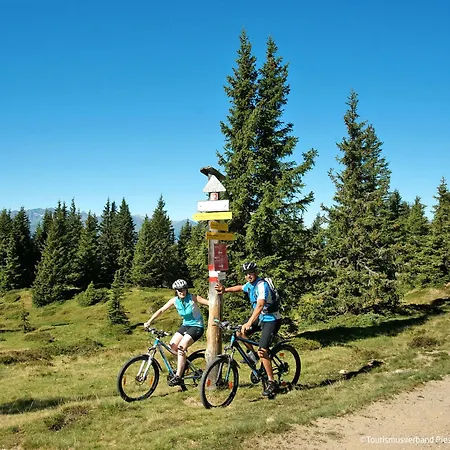 Lejlighed Emma-5 By Interhome Durnberg (Piesendorf)